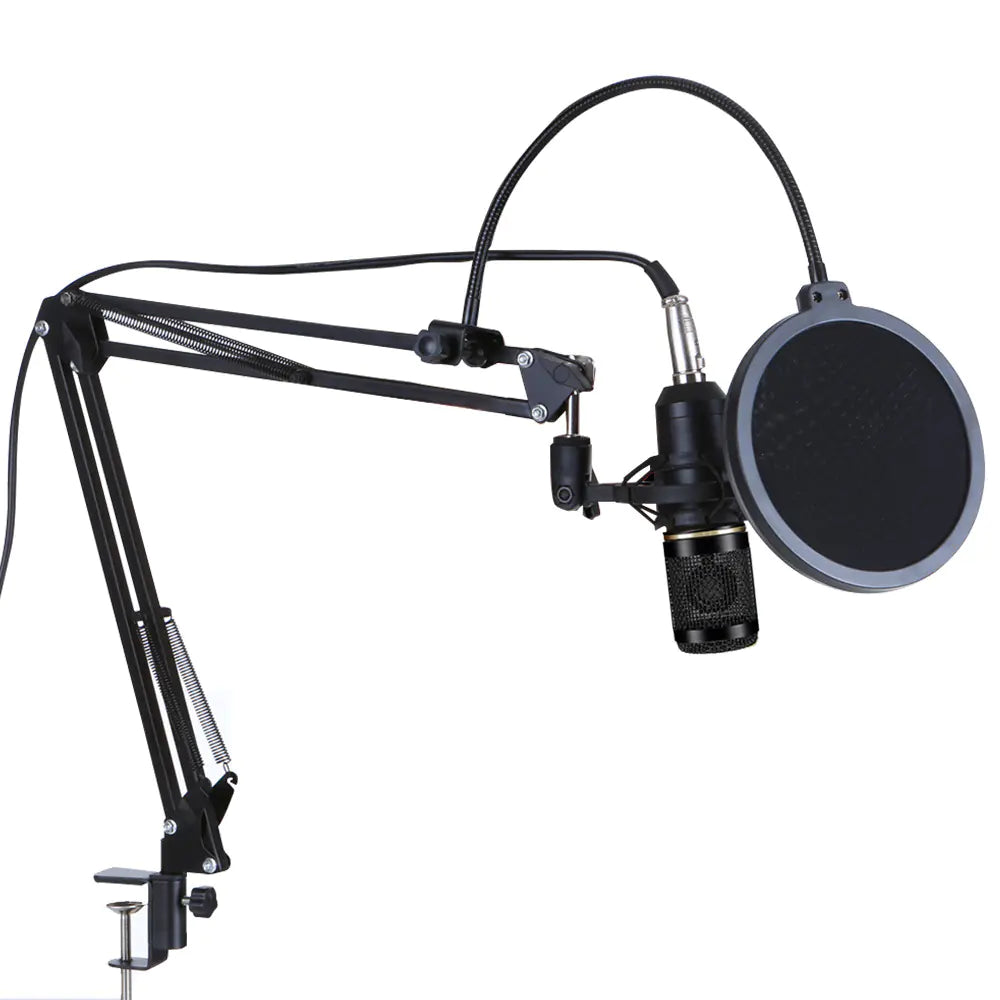 Adjustable 360-Degree Microphone Wall Mount Stand