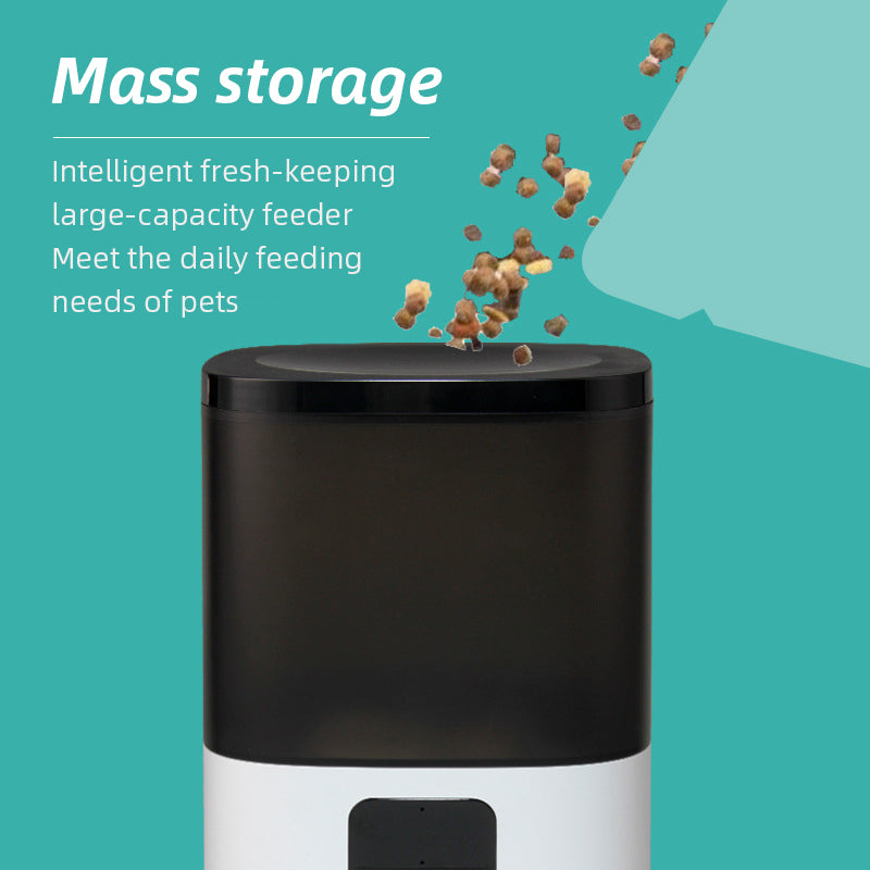 Wifi Smart APP Pet Feeder Household use Microchip Dog Automatic Pet Feeder Automatic Pet Feeder