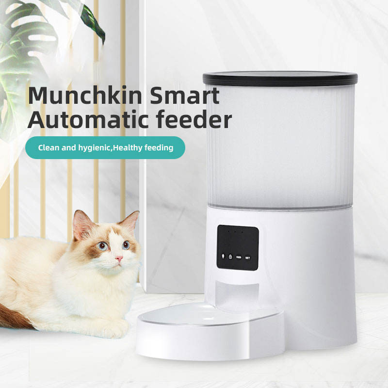 Wifi Smart APP Pet Feeder Household use Microchip Dog Automatic Pet Feeder Automatic Pet Feeder