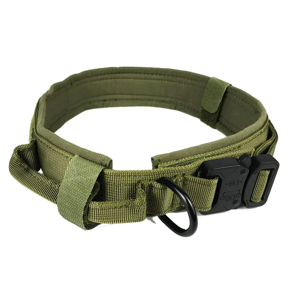 Premium Nylon Dog Collar – Durable & Comfortable