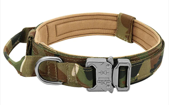 Premium Nylon Dog Collar – Durable & Comfortable
