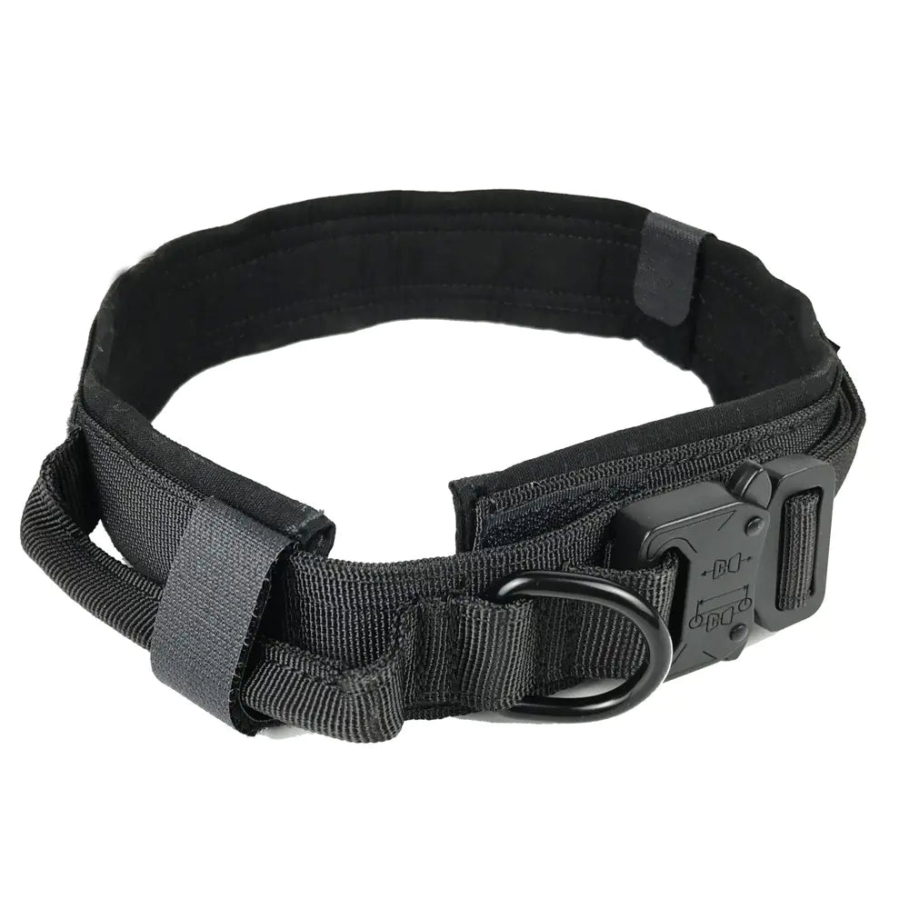 Premium Nylon Dog Collar – Durable & Comfortable