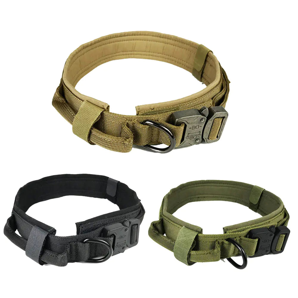 Premium Nylon Dog Collar – Durable & Comfortable