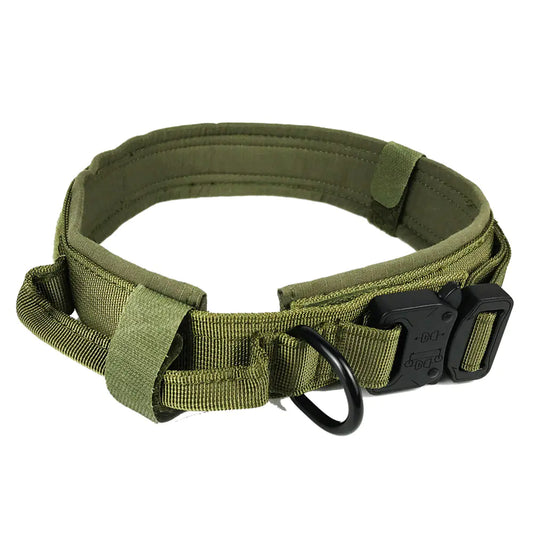 Premium Nylon Dog Collar – Durable & Comfortable