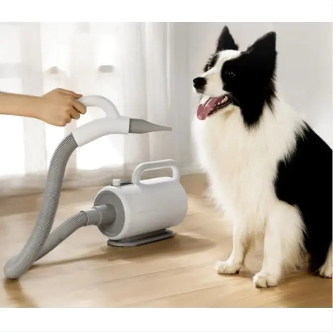 High-Power Dog Hair Dryer for Large Dogs – Fast & Quiet Pet Grooming Blower