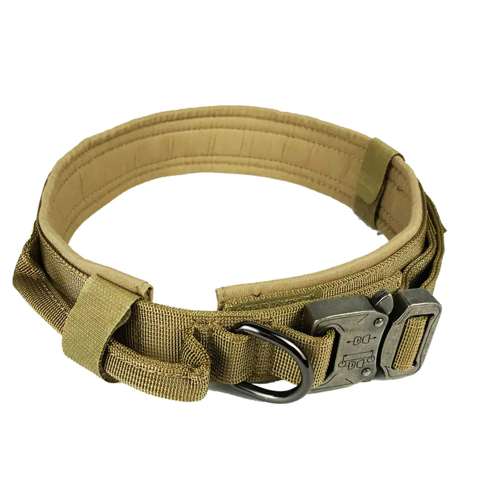 Premium Nylon Dog Collar – Durable & Comfortable